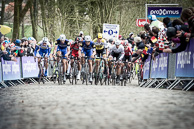 2016 GentWevelgem, TomBOONEN(BEL-EQS) leads Peloton up  the Kemmelberg.
