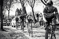 2016 Ronde van Vlaanderen,